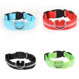 light up cat collar uk