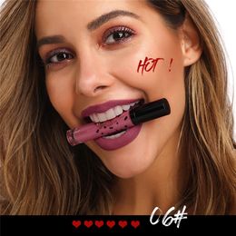 12 Colours Velvet Lip Gloss Lipstick Long Lasting Moisture Cosmetic Lipstick Red Lip Matte Liquid Lipstick waterproof