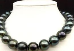 17/" 12 mm café Champagne South Sea Shell collier de perles