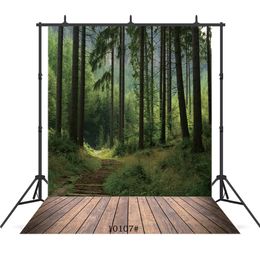 forbidden forest outlet Vinyl photography background for portrait children baby shower new born backdrop photo shoot photophone