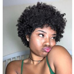 charming hairstyle soft Indian Hair afro African American short cut kinky curly Simulation Human Hair curly natural wig