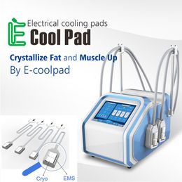 Portable Non Vacuum Cryolipolysis EMS Paddles Device Crystallise Fat And Muscle Up By E COOL Pad Machine