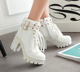 Vintage Punk Rock Gothic Ankle Boots Women Thick Platform Chunky Block High Heels Motorcycl Lace Up Boots size 34-40