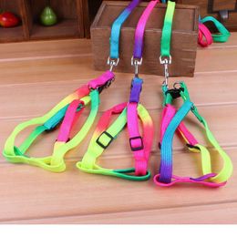 100pcs Funlife New Rainbow Color Adjustable Nylon Dog pet Leash Lead & Harness Rainbow Color Adjustable Nylon Dog