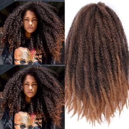 Wholesale Afro Kinky Crochet Marley Braids For Resale Group Buy