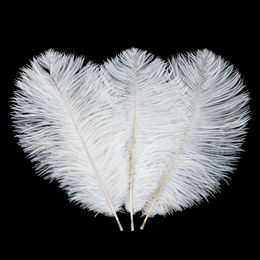 10 pcs plumes d'autruche blanc table de plomb de route de plumes de mariage fleur performance scénique décoration de mariage props bijoux bricolage