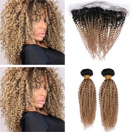 Honey Blonde Ombre Kinky Curly Human Hair 2Bundles with Frontal 3Pcs Lot #1B/27 Light Brown Ombre Brazilian Hair with 13x4 Lace Frontal