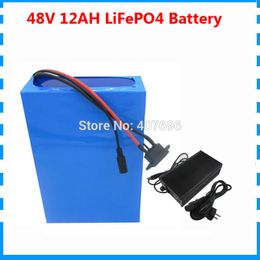 48V 12Ah 750W 32700 LiFePo4 battery pack for electric bike 48V 1000W electric scooter battery with Charger 30A BMS