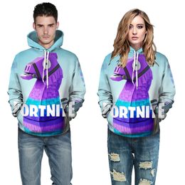 Fashion 3D Print Hoodies Sweatshirt Casual Pullover Unisex Autumn Winter Streetwear Outdoor Wear Women Men hoodies 74
