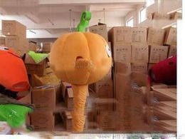 2019 Factory hot plush pumpkin carnival costumes mascot costumes adult size free shipping