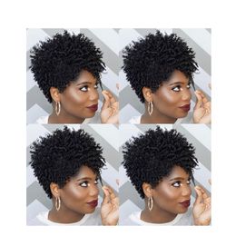 fashion women's lndian Hair African Americ afro short kinky curly wig Simulation Human Hair kinky curly wig