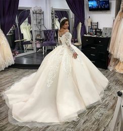 Gorgeous Princess Wedding Dresses Lace Appliques Sheer Neck Long Sleeve Wedding Gowns Lace Up Appliqued Bridal Dress Vestido De Novia Q137