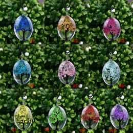 New Oval Tree Of Life Glass Necklaces For Women Dried flowers specimen Pendant Leather chain Fashion Jewellery Gift