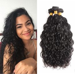 Brazilian Virgin Hair Bundles Human Hair Weave Wet and Wavy Water Wave Weaves