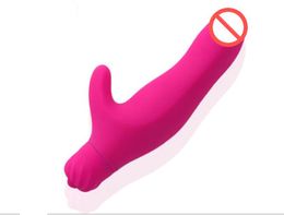 Sex Toys Silicone G-spot Rabbit Vibrator for Women Clit Dolphin Vibrators Sex Products