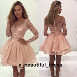 Elegant Long Sleeve Short Homecoming Dresses Blush Pink Sweet 16 Graduation Dresses Zipper Prom Party Evening Dresses Short Cocktail ED1274