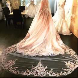 2019 Designed Single Layer Bridal Veils Lace Appliques Amazing Fashion Wedding Veils 3 Colours Cheap Wedding Dresses Accessories Customised