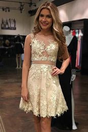 Champagne Mini Short Homecoming Dresses Lace Appliqued Illusion Bodices Short Prom Dresses Formal Party Cocktail Dresses Cheap 56