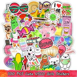 100 PCS Cute VSCO Waterproof Girls Stickers Pack Kawaii Anime Pink Graffiti Decals for Kids Girls to DIY Laptop Water Bottle Home Decor