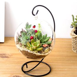 Mini verre paysage bouteille Terrarium Récipient Fleur vases forme carrée