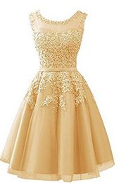 2019 New Scoop Appliques Beading A-Line Mini Party Gowns With Tule Plus Size Formal Evening Celebrity Dresses BE66