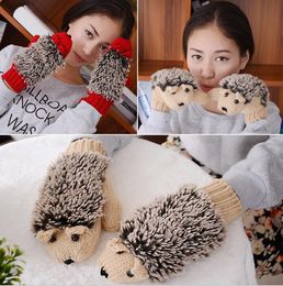 New 8 Colours Girls Novelty Cartoon Winter Gloves for Women Knit Warm Fitness Gloves Hedgehog Heated Villus Wrist Mittens GB1325