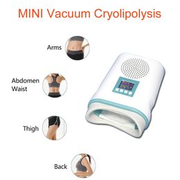 MINI Cryolipolysis Slimming machines cryotherapy device Body Shape fat freeze machine weight Loss for home use