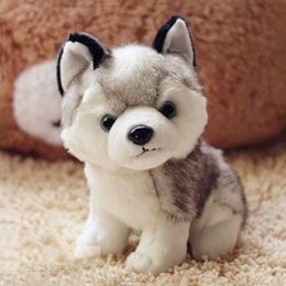 3D-Samoyède Husky Chien Jouets en peluche poupée en peluche animal oreiller Canapé Voiture Coussin Arrière