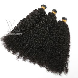 VMAE Vietnamese Natural Colour 1g Strand 100g Pre Bonded Keratin Fusion Custom Kinky Curly I Tip Human Hair Extension