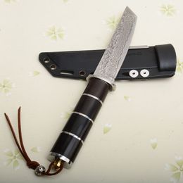 New Arrival VG10 Damascus Steel Knife Fixed Tanto Blade Ebony Handle Survival Straight Knives With Kydex Sheath