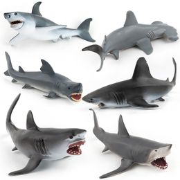 shark toys nz