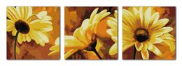 African daisy flower home decor paintings ,Handmade Cross Stitch Embroidery Needlework sets counted print on canvas DMC 14CT /11CT