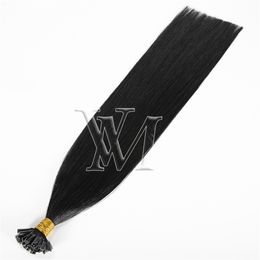 VMAE Hot Selling Mongolian Virgin Double Drawn U Tip Human Hair Extensions 100g 4A 4B 4C Afro Kinky Curly Straight Wave Natural Color