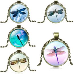 Outdoor dragonfly time gemstone glass pendant necklace jewelry DAN547 mix order Pendant Necklaces