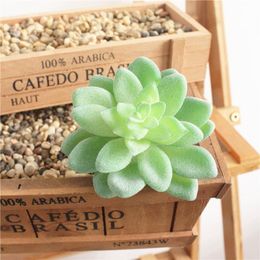Künstliche Miniatur Sukkulenten Pflanzen Kaktus Echeveria Blume Wohnkultur Neu