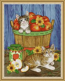 Cats and fruits room decor diy artwork kit ,Handmade Cross Stitch Craft Tools Embroidery Needlework sets counted print on canvas DMC 14CT /11CT