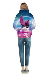 2020 Fashion 3D Print Hoodies Sweatshirt Casual Pullover Unisex Autumn Winter Streetwear Outdoor Wear Women Men hoodies 9505