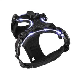chest led dog harness