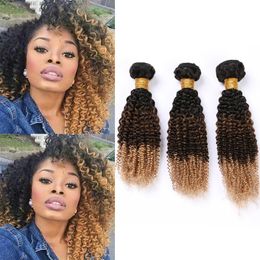 #1B 4 27 Ombre Human Hair Bundles Kinky Curly Dark Roots Hair Extensions Black Brown to Honey Blonde Ombre Brazilian Virgin Hair Weaves