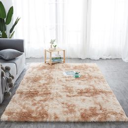 Factory direct wholesale silk wool carpet PV velvet tie dyed carpet living room study bedside bedroom carpet floor mat SZ542