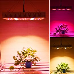 grow lights Full spectrum 3000w COB indoor greenhouse plant lamp used for medicinal plants