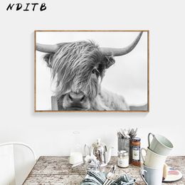Cow Room Decor Canada Best Selling Cow Room Decor From Top