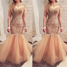 New Illusion Long Sleeves Evening Dresses Sexy Sheer Neckline Lace Appliques Mermaid Prom Dress Long Tulle Zipper Back Formal Party Gowns