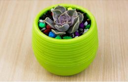 Mini Round Plastic Meat Plant Flower Pot Garden Home Office Decor Micro Landscape Planter High Quality c537 000