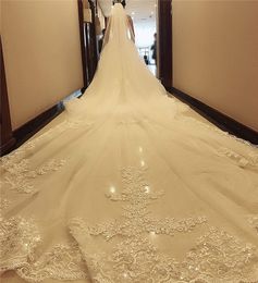 Cathedral Length Wedding Veils Lace Applique Tulle Bridal Veil 5.5M Length Long Wedding Veil Wedding Accessories