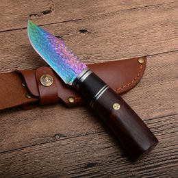 1Pcs New Damascus Hunting Knife Damascus Steel Colorful Titanium Coated Blade Wood Handle Outdoor Survival Straight Knives