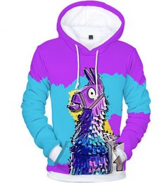 2020 Fashion 3D Print Hoodies Sweatshirt Casual Pullover Unisex Autumn Winter Streetwear Outdoor Wear Women Men hoodies 8202