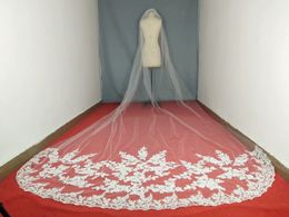 Real Pictures Lace Wedding Veils With Appliques One Layers Cathedral Length 3M Long Bridal Veil With Comb
