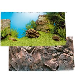 aquarium backgrounds canada