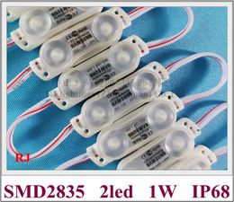 injection LED module light ultrasonic seal IP68 DC12V SMD2835 2LED 1W 120lm Double-sided PCB super quality 53mm X 16mm super bright